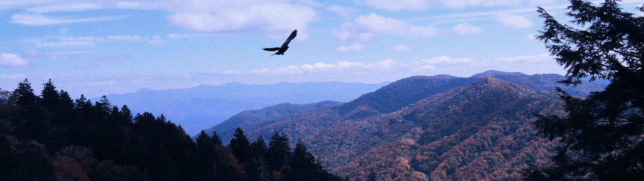 Reflect-ON Impressum