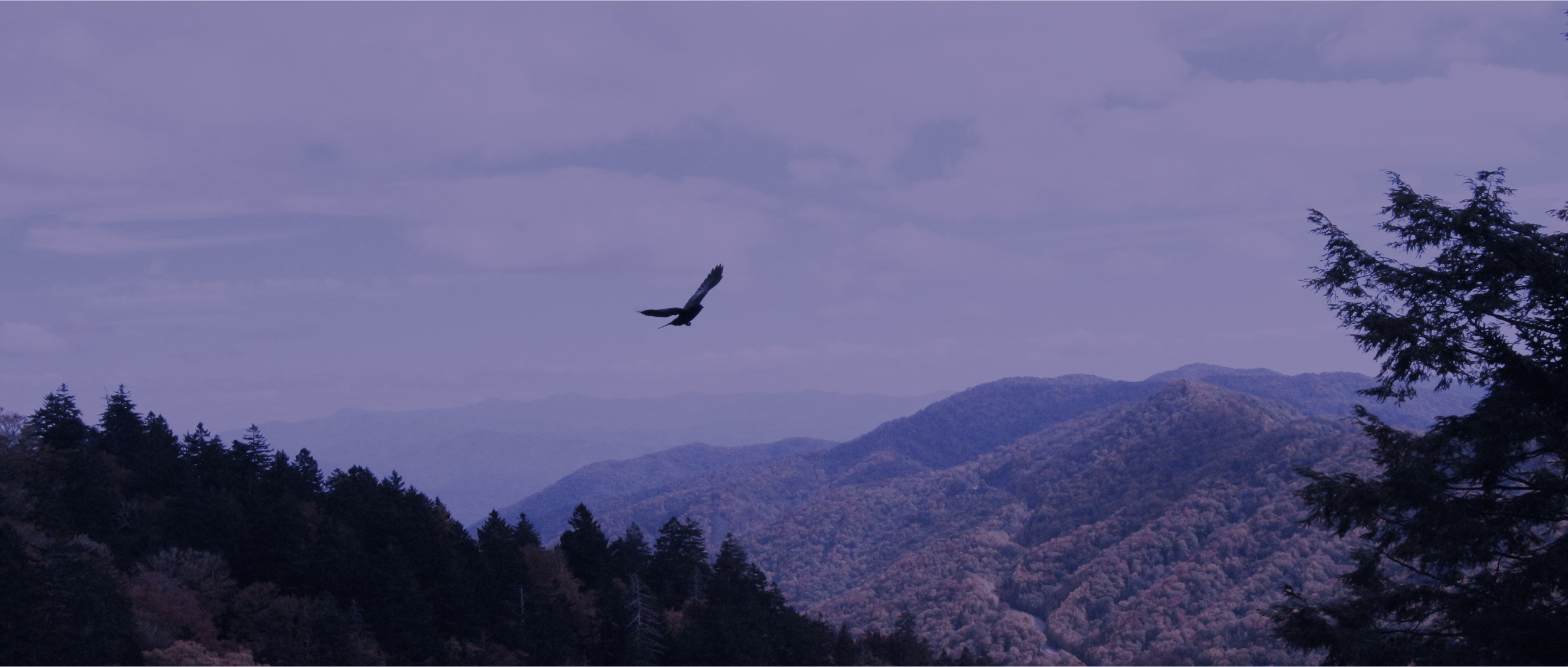 Gestalte dein persönliches Big Picture