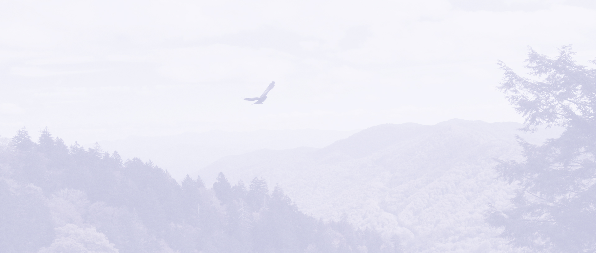 Finde deinen Weg – mit deinem ganz persönlichen Big Picture