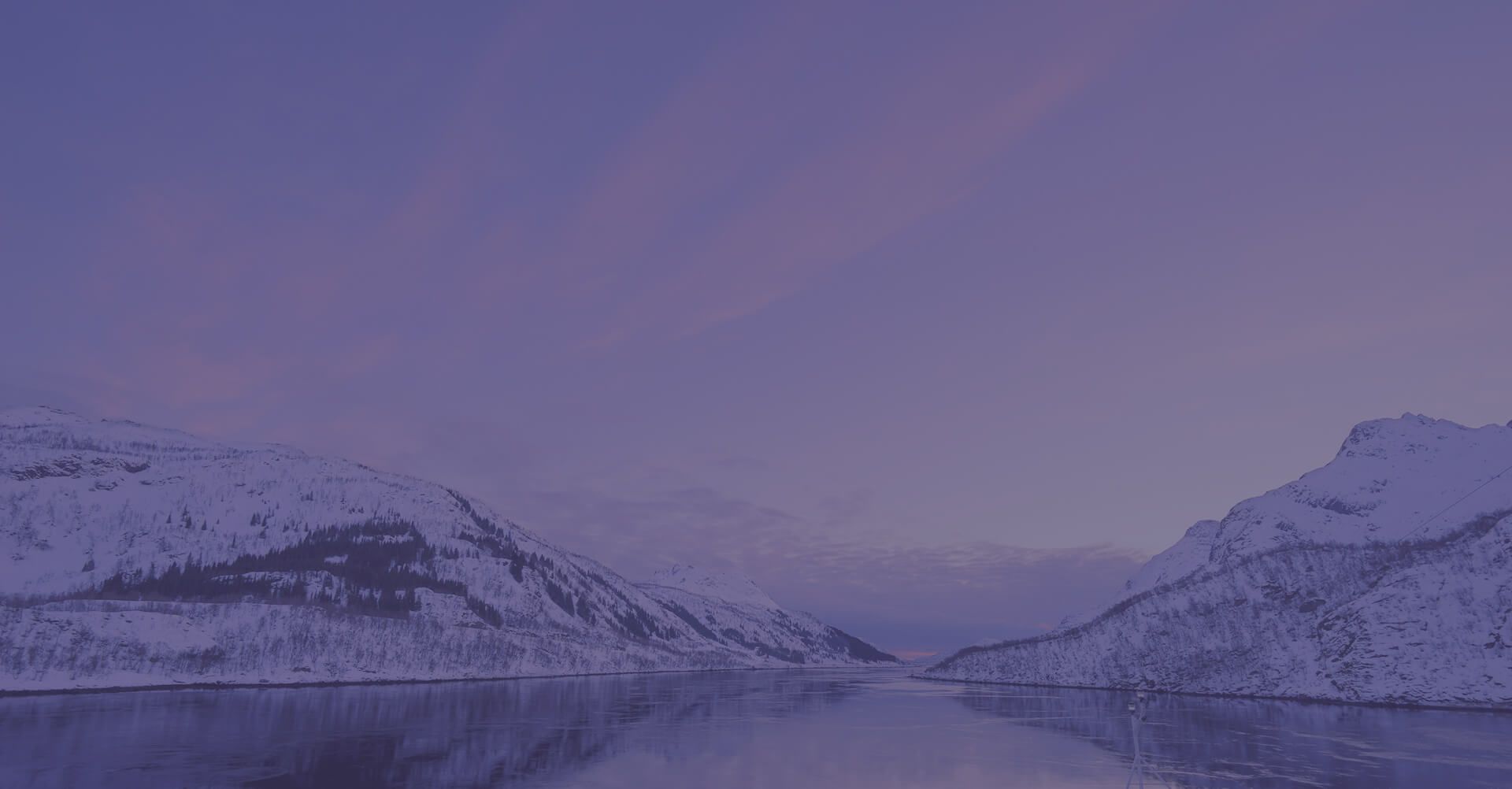 Was ist Reflect-ON YOU?